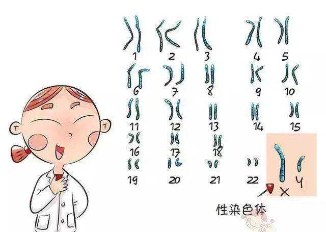 重庆妇幼保健院第三代试管婴儿费用多少？