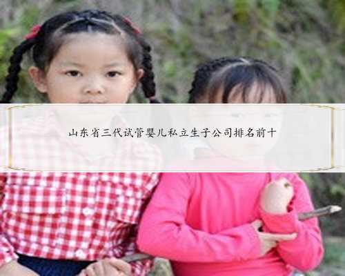 山东省三代试管婴儿私立生子公司排名前十